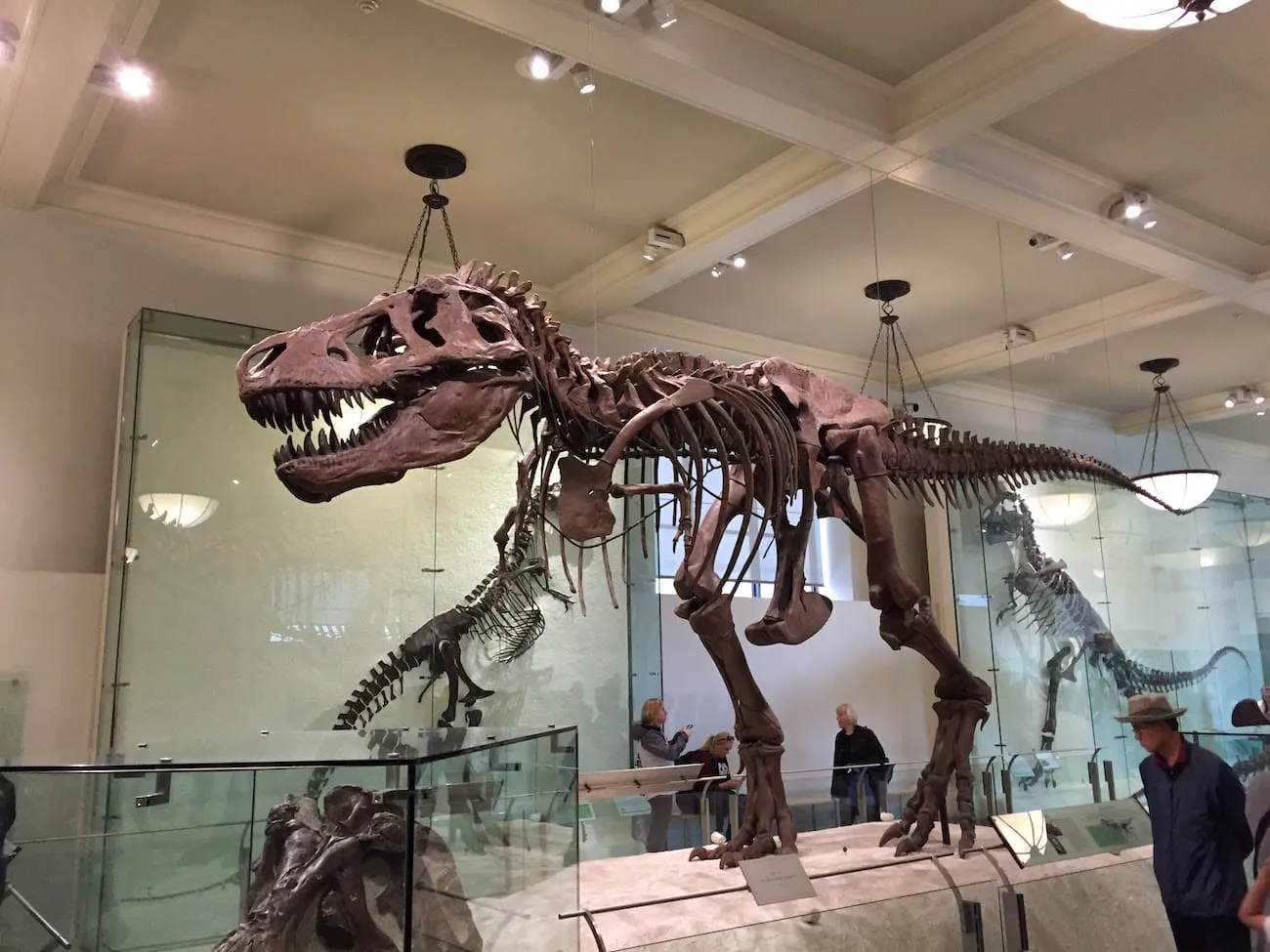 natural_history_museum24