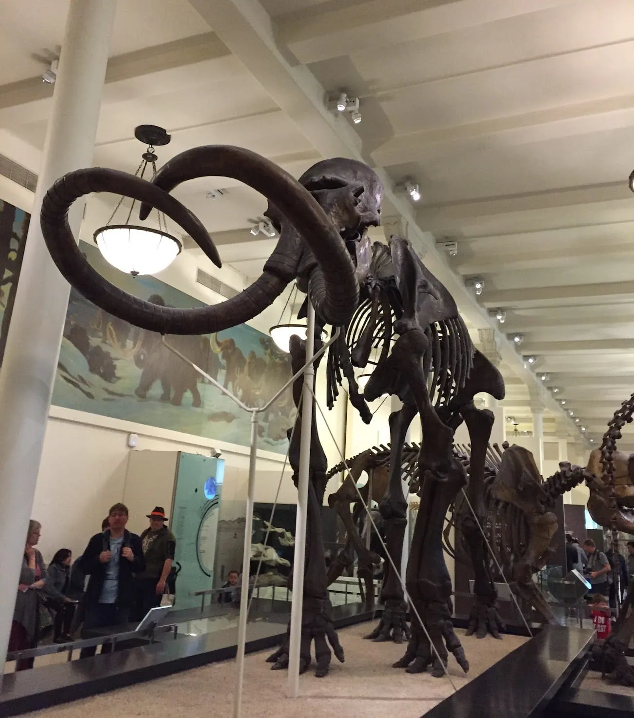 natural_history_museum31