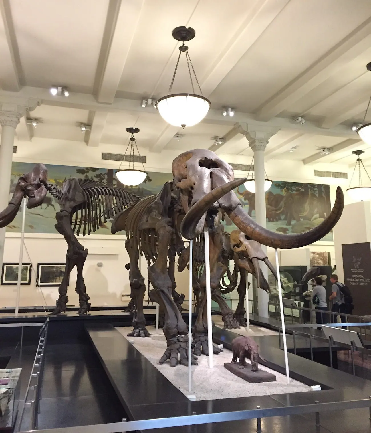 natural_history_museum32