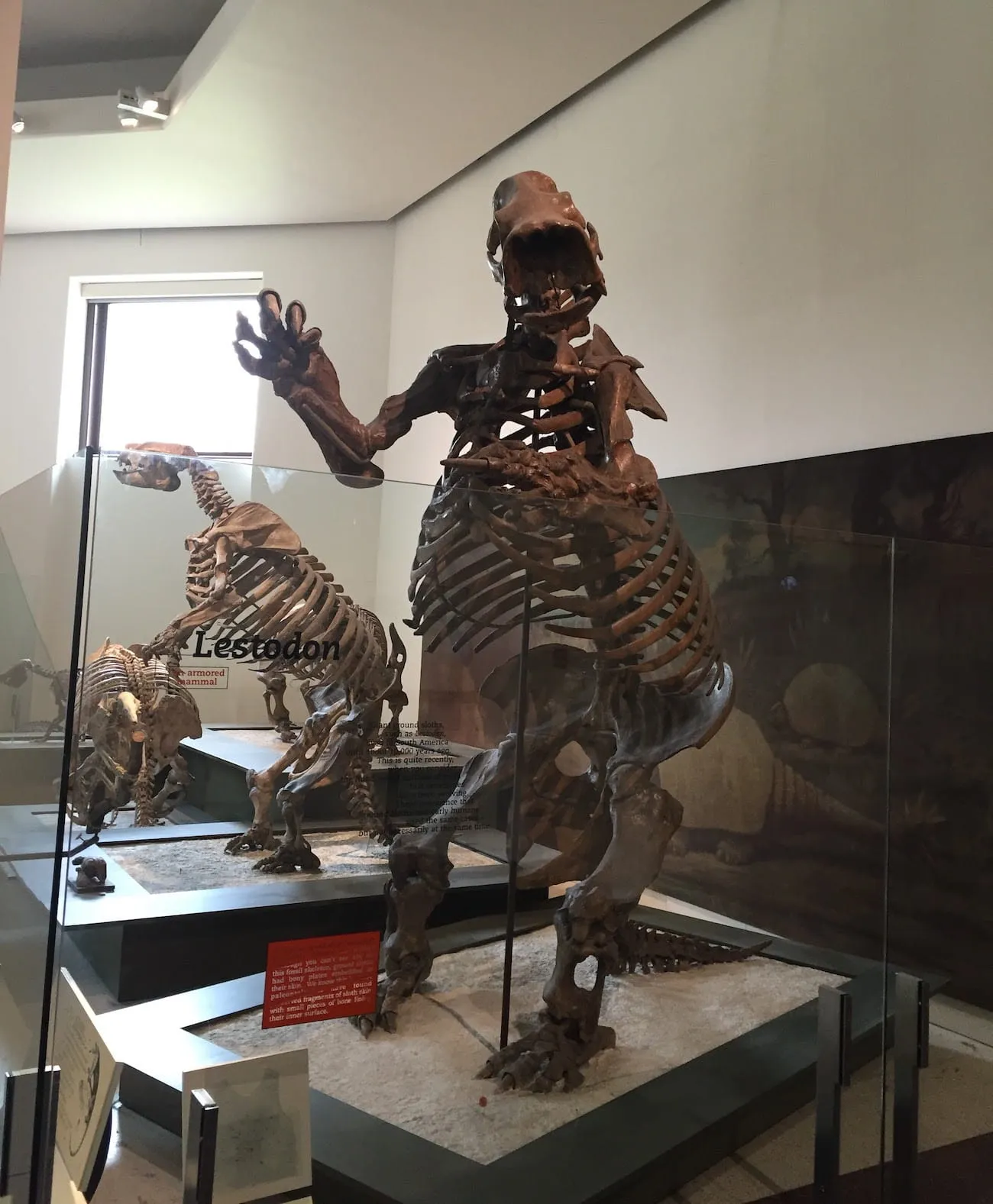 natural_history_museum35