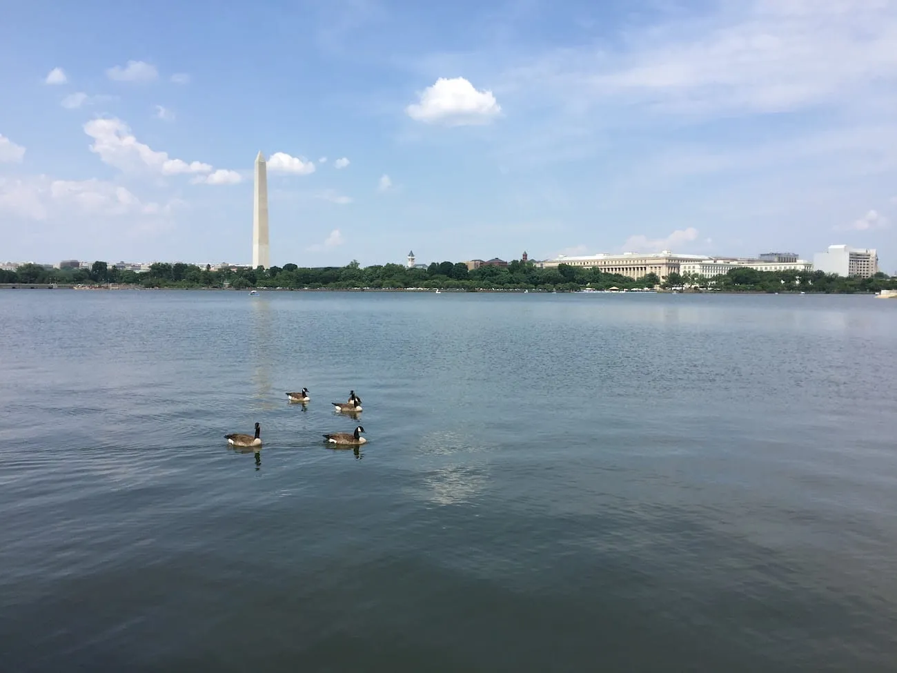 tidal_basin3