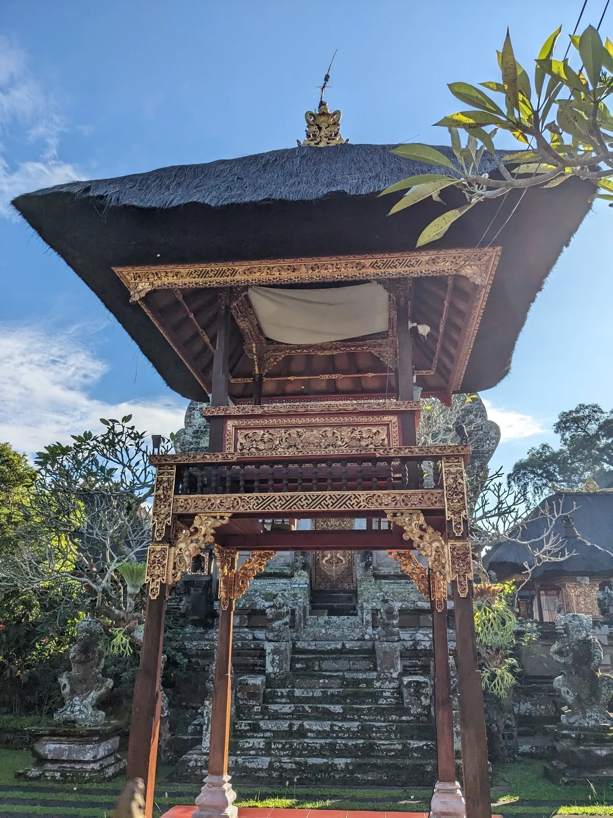 ubud5