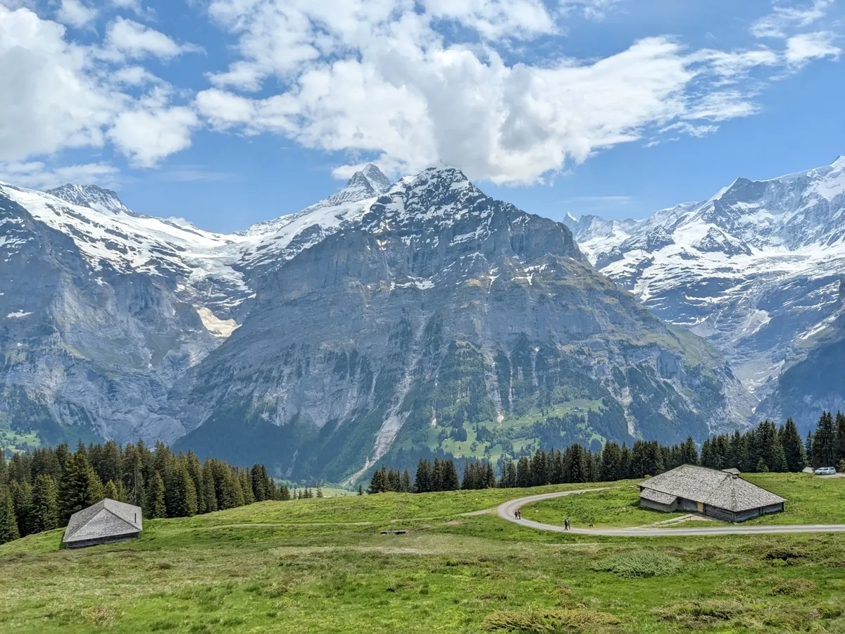 first-to-grindelwald11