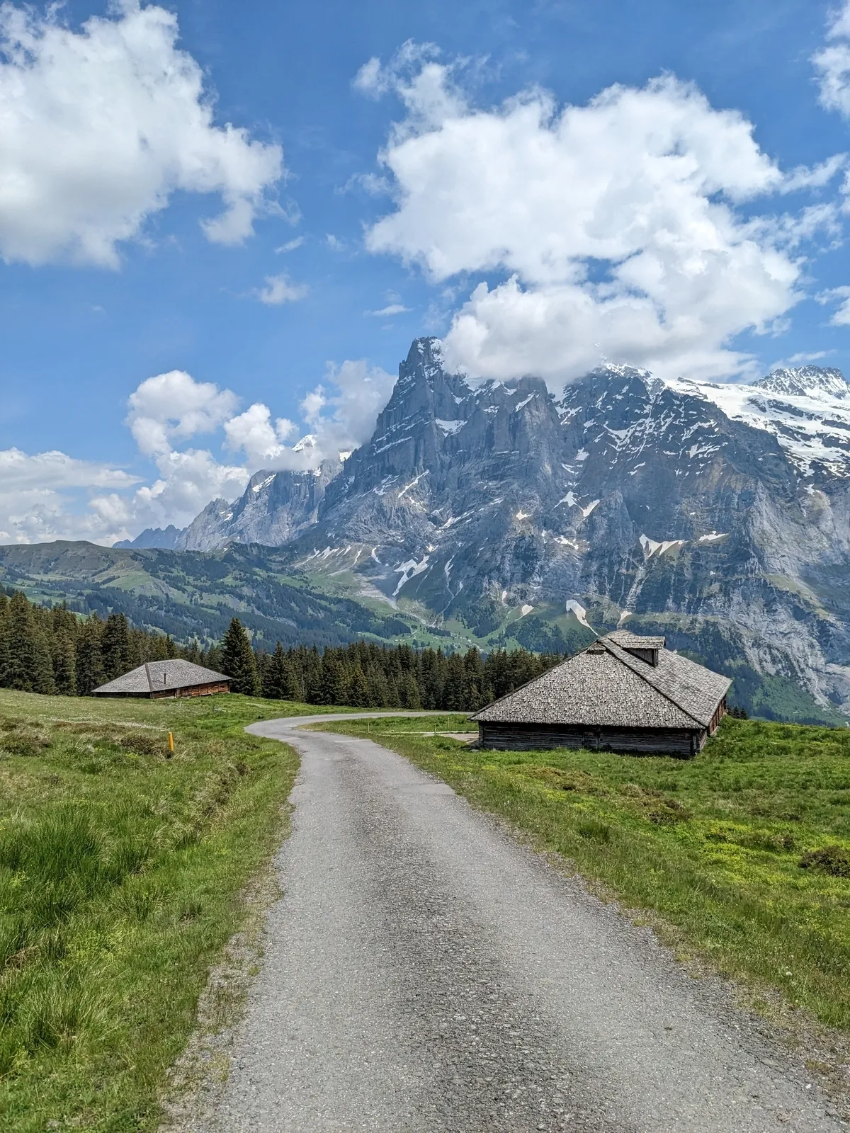 first-to-grindelwald14