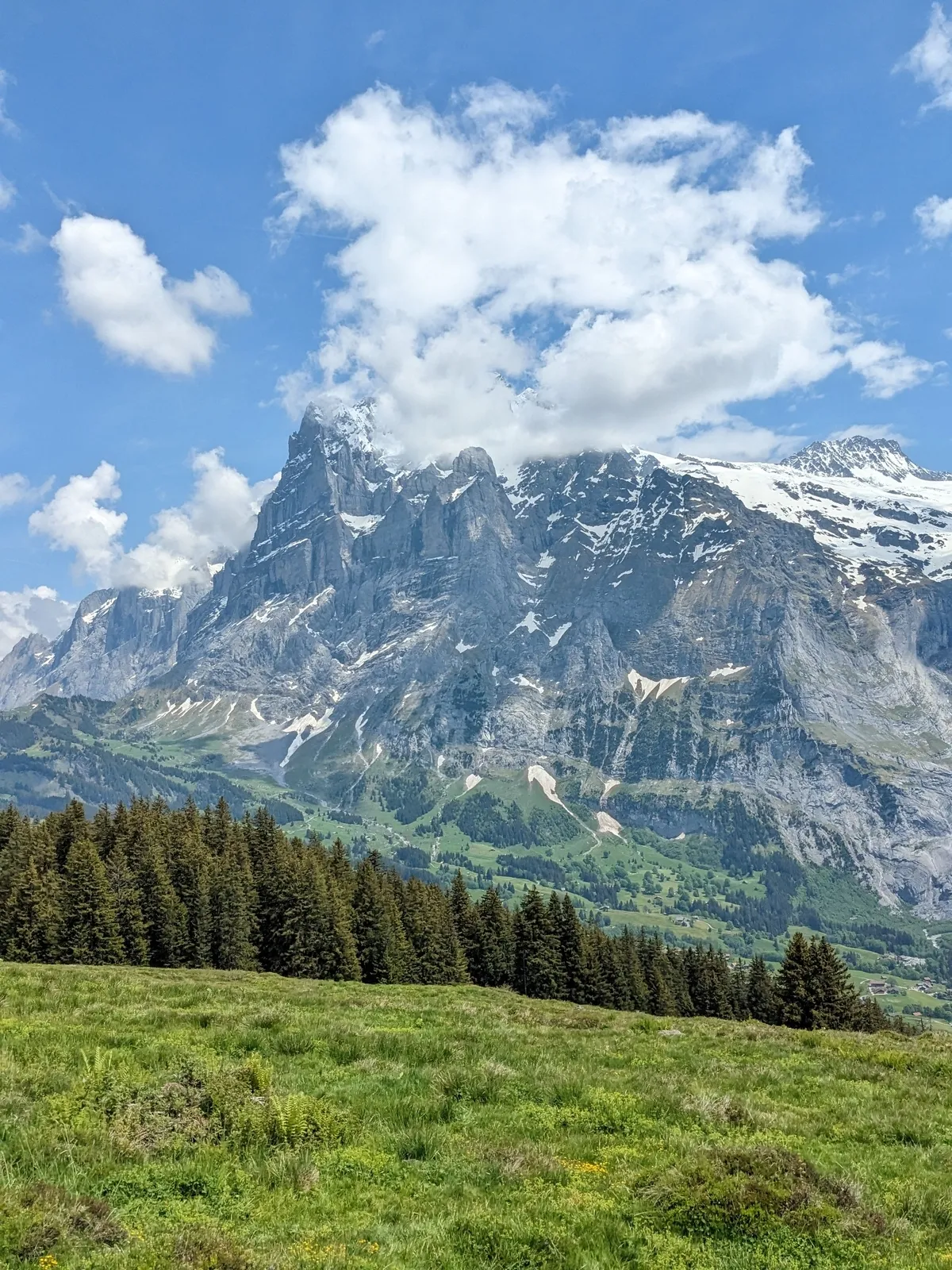 first-to-grindelwald15