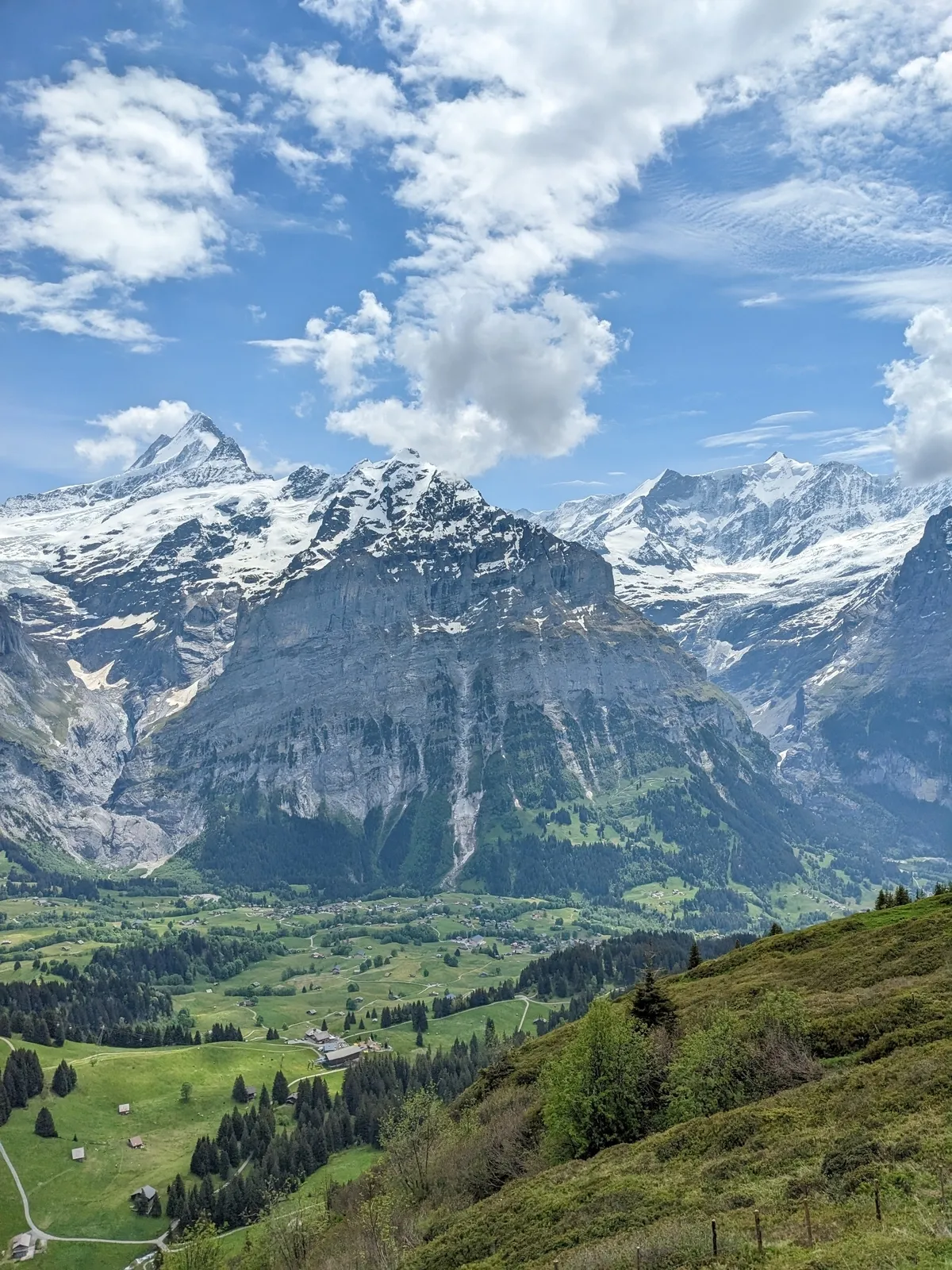 first-to-grindelwald2