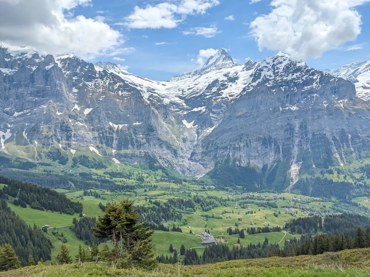 first-to-grindelwald3