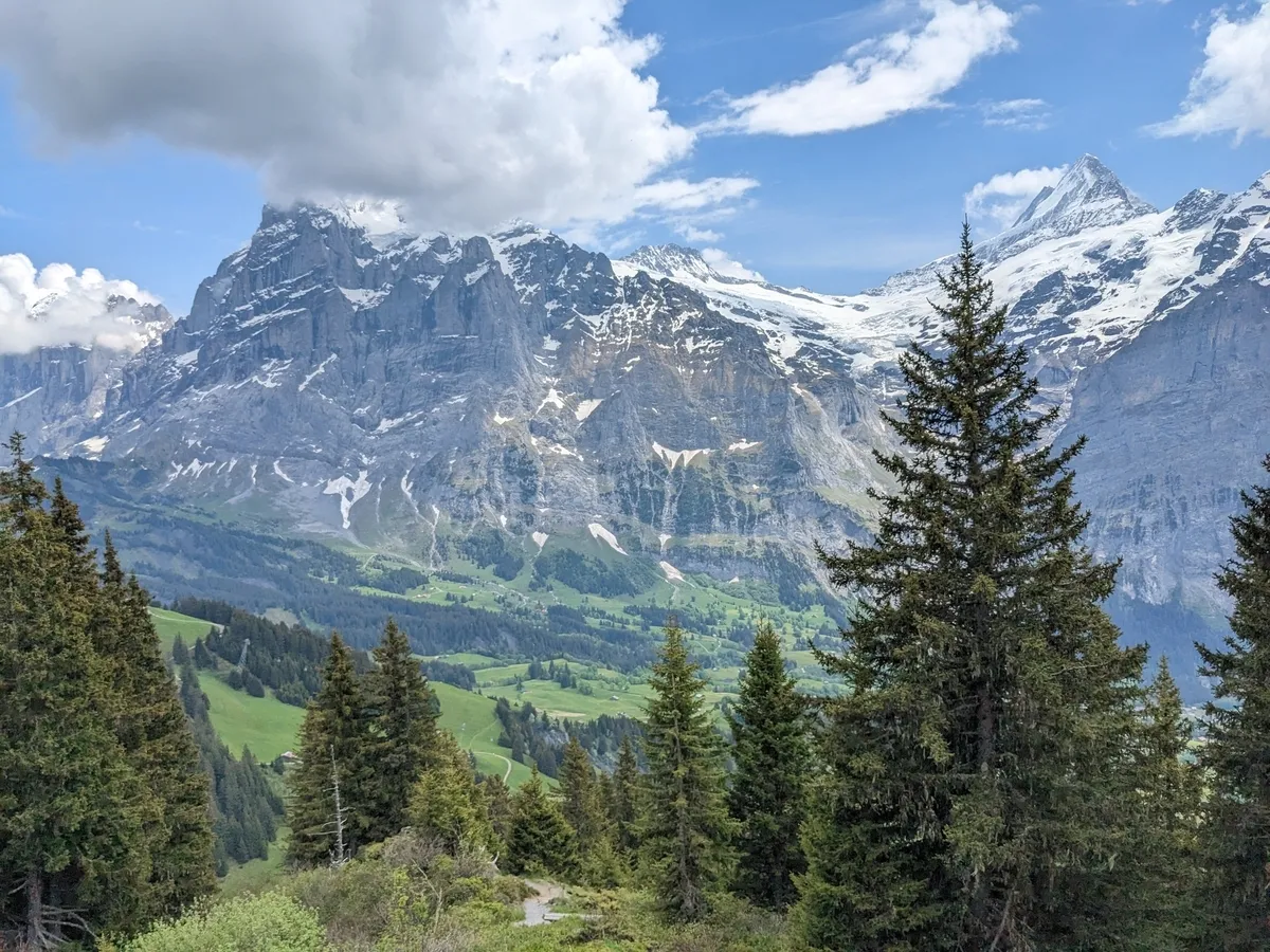 first-to-grindelwald4