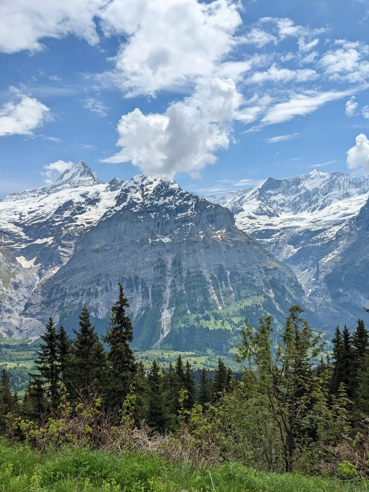 first-to-grindelwald7