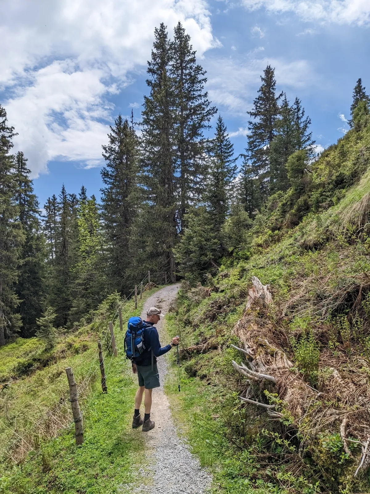 first-to-grindelwald9