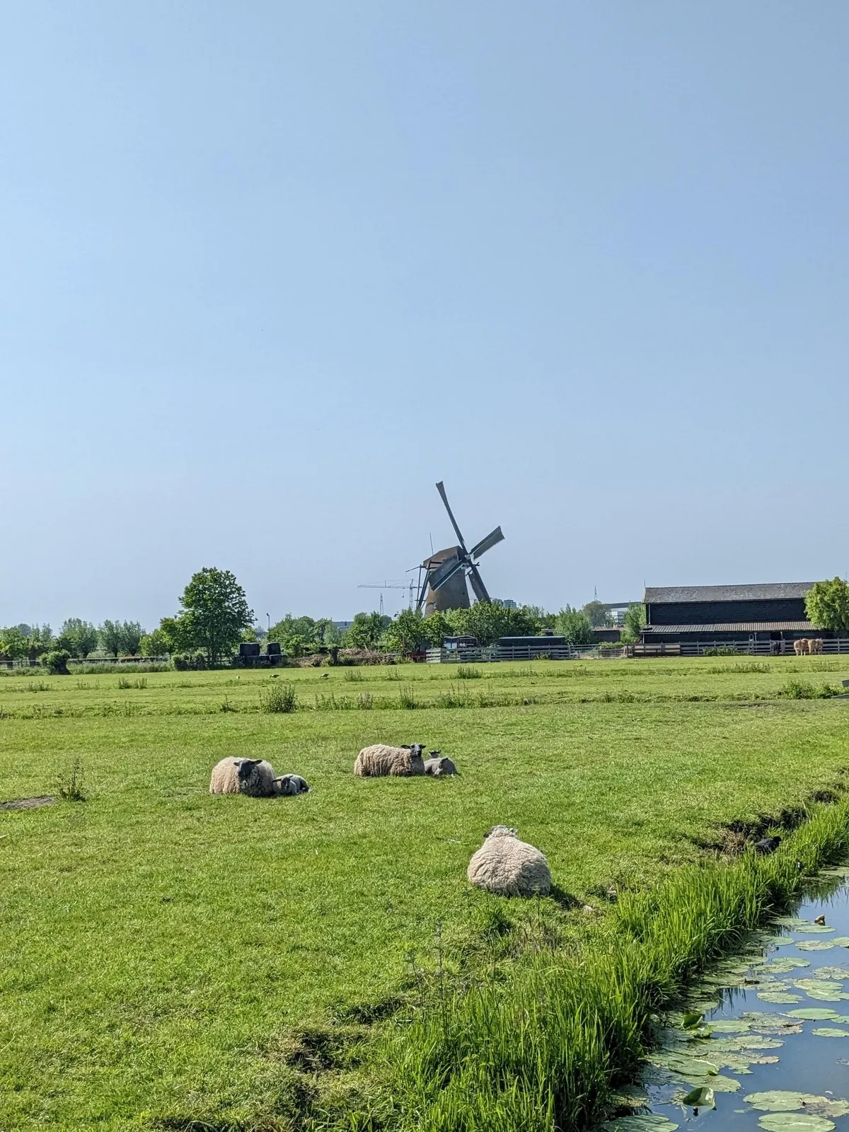 windmill11