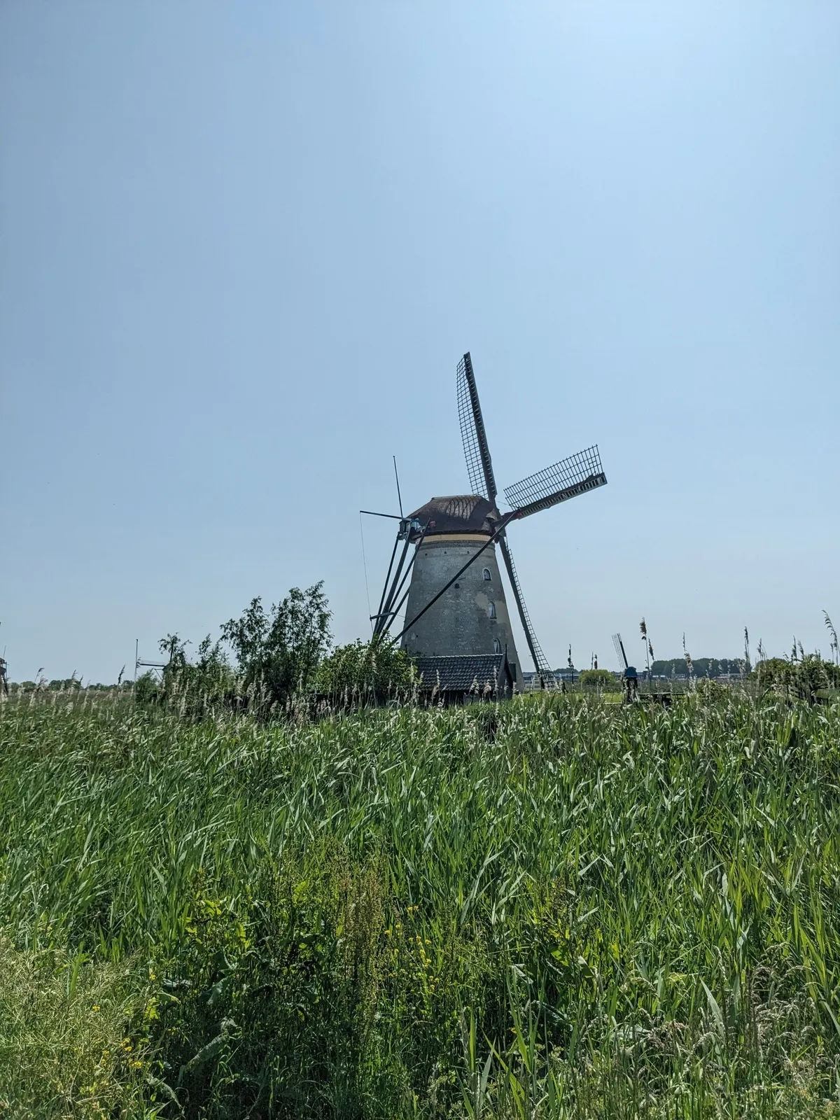 windmill7