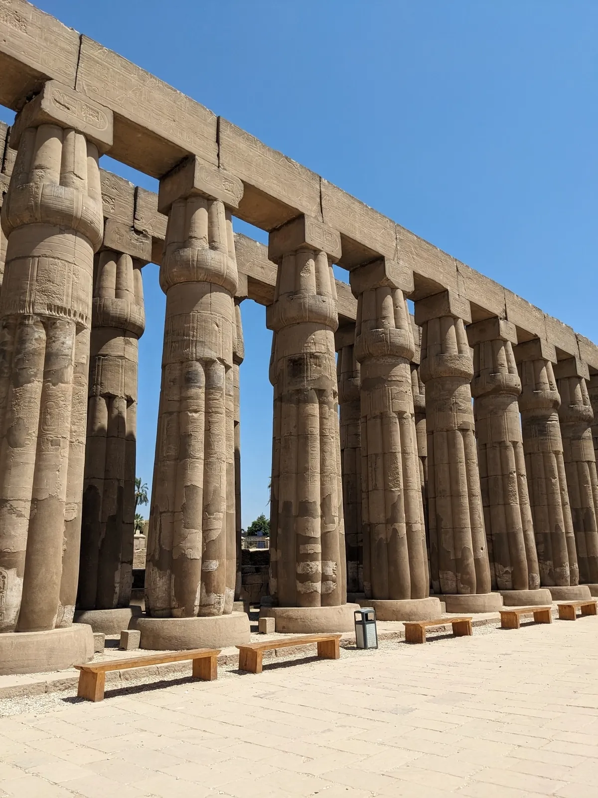 luxor-temple13