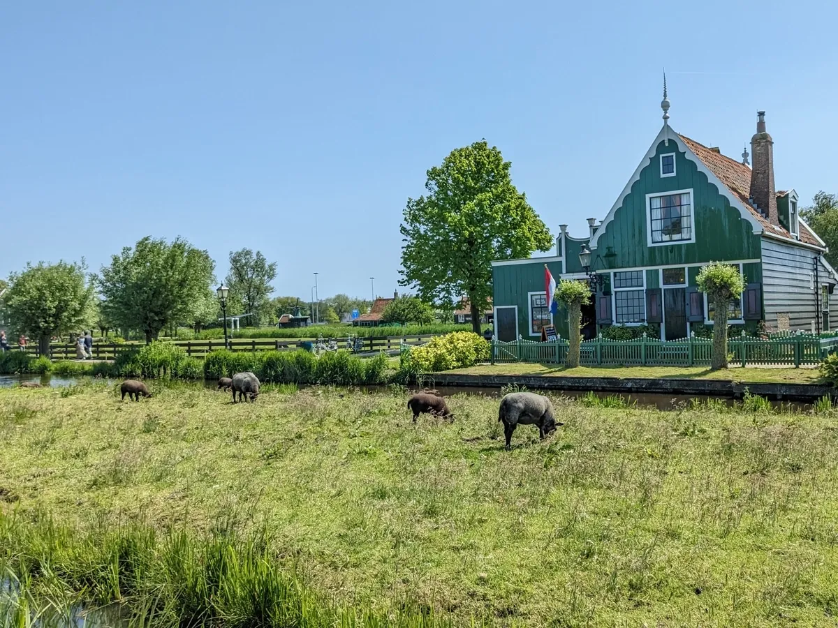 zaanse-schans13