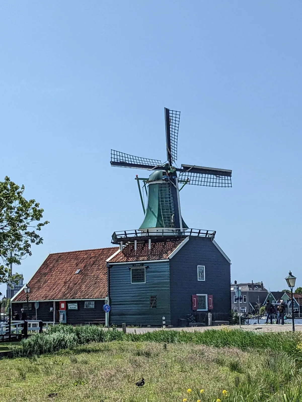 zaanse-schans14