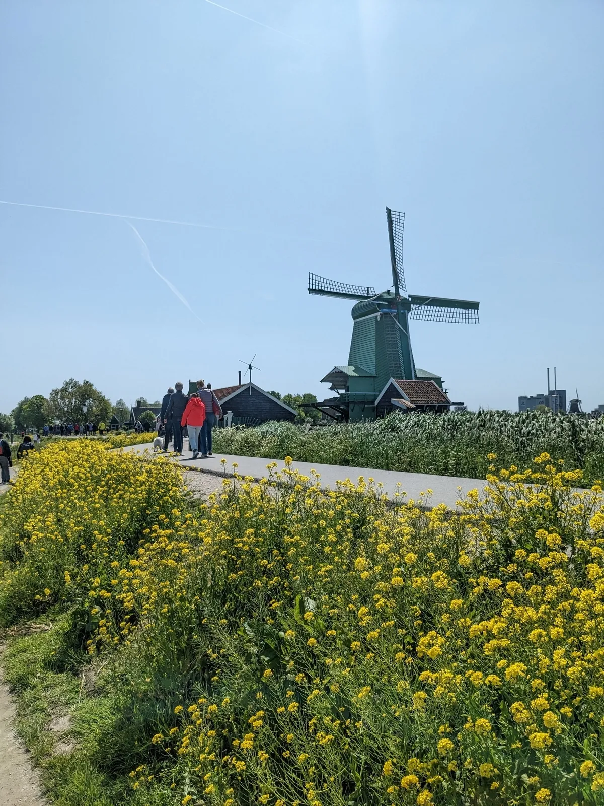 zaanse-schans30